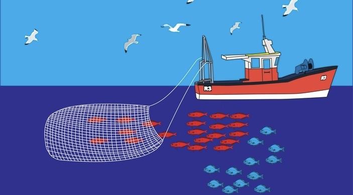 What Fishing can teach us about Sales Productivity